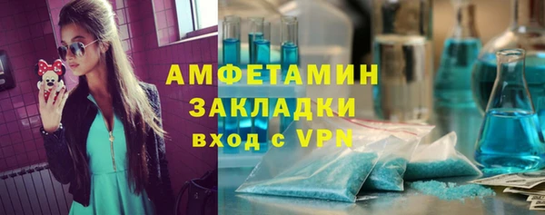прущие грибы Бородино
