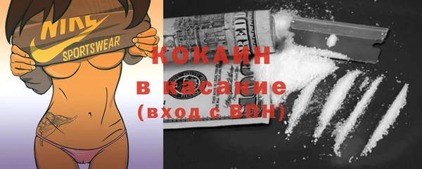 прущие грибы Бородино