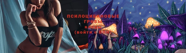 прущие грибы Бородино