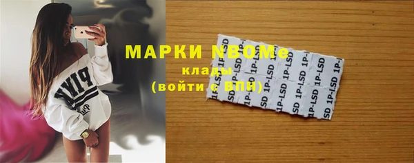 прущие грибы Бородино