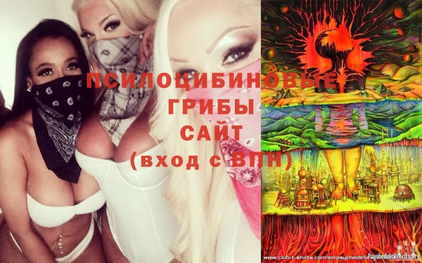 ГАЛЛЮЦИНОГЕННЫЕ ГРИБЫ Бронницы
