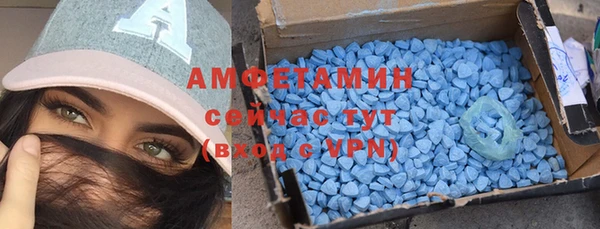 прущие грибы Бородино