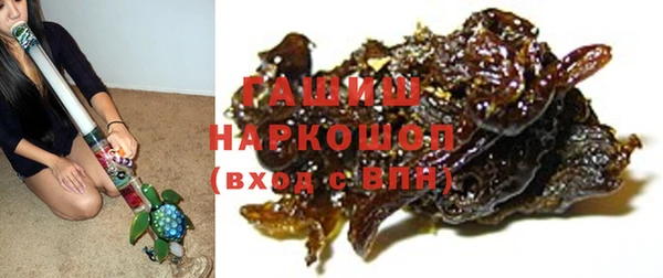 прущие грибы Бородино