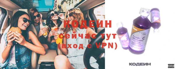 прущие грибы Бородино