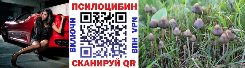 Галлюциногенные грибы мухоморы  МЕГА ссылки  Семёнов 